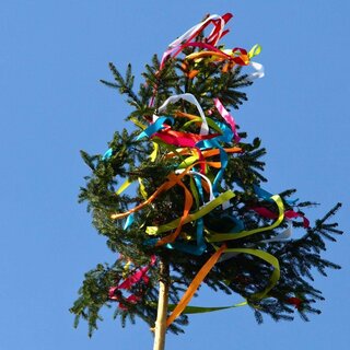 Maibaum
