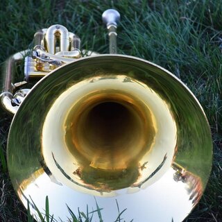 Musik im Park_Oststeiermark | © Pixabay