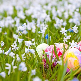 Easter Egg Hunt_Eastern Styria_AdobeStock | © Tourismusverband Oststeiermark