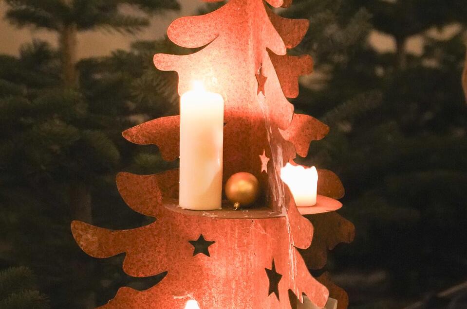 Pöllauer Schlossadvent - Impression #1