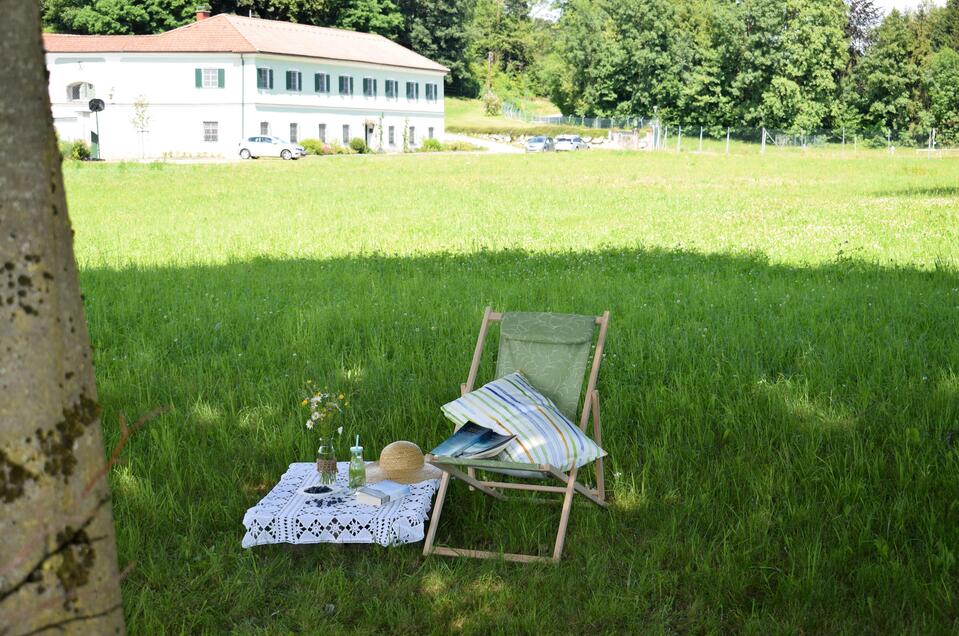 Wiese vor dem Krottenhof in Langenwang.