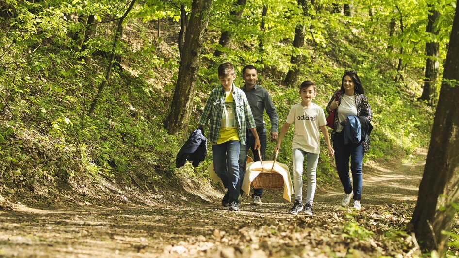 Picknick für die ganze Familie