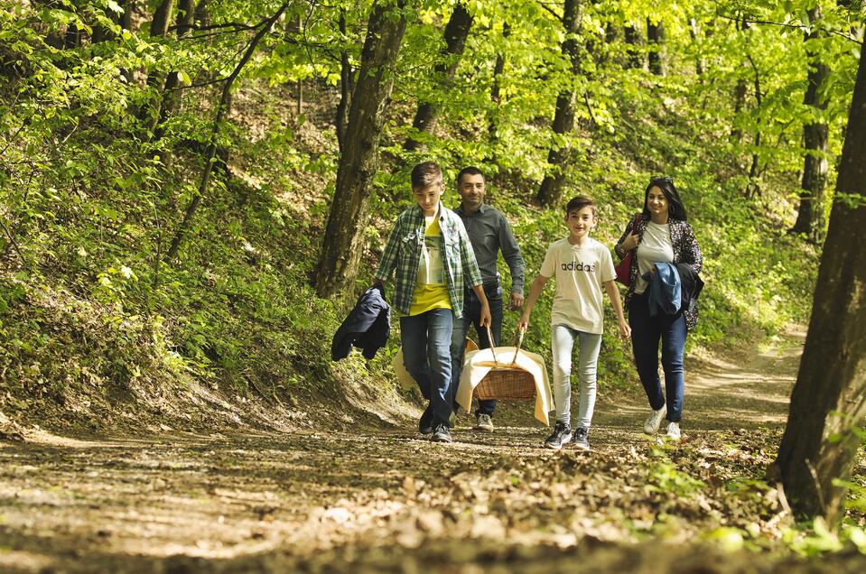 Picknick für die ganze Familie