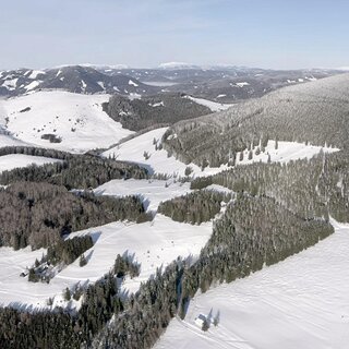 Almenland im Winter_Oststeiermark_Mellacher | © Fot Mellacher