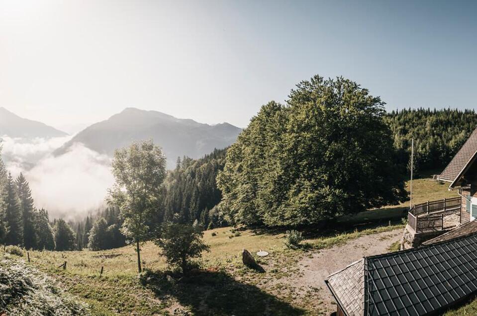 Naturfreundehütte Palfau | © TVB Gesäuse