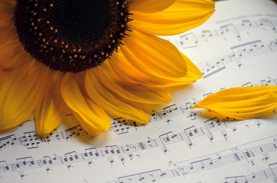 Sommerkonzert_Oststeiermark | © pixabay