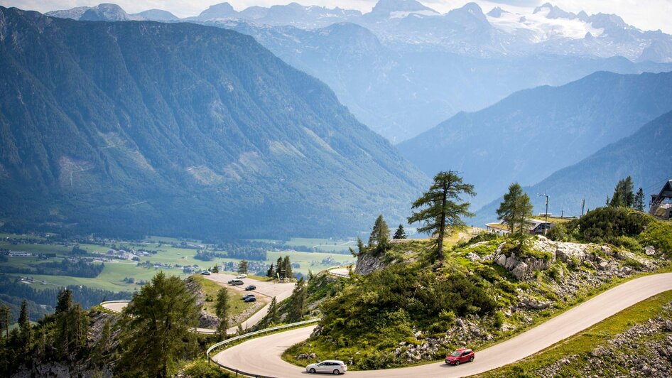 Sommerlaune auf der Loseralm - Impressionen #2.4