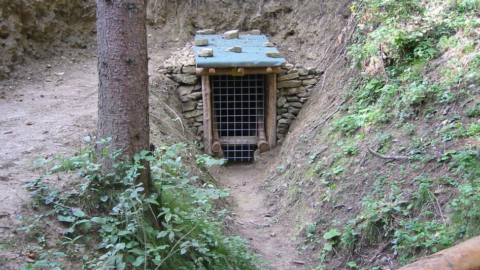 Spezialführung: Der Stollen durch den Ulrichsberg - Impressionen #2.2