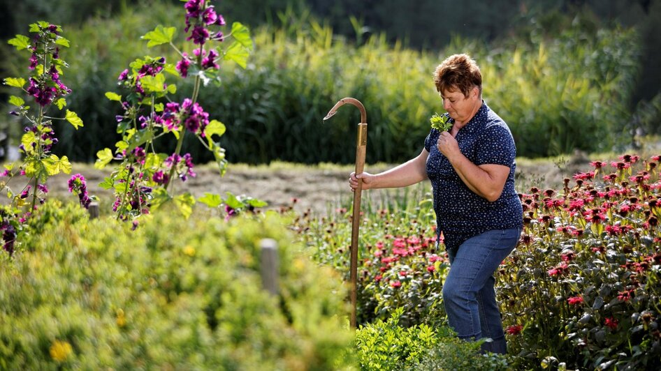 Kräutergarten_Almenland_Oststeiermark | © Tourismusverband Oststeiermark