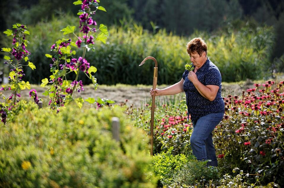 Kräutergarten_Almenland_Oststeiermark | © Tourismusverband Oststeiermark