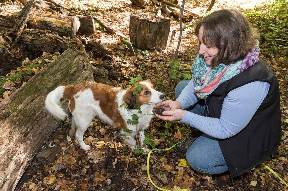 Trüffelwanderungen_5 | © Graz Tourismus - Harry Schiffer