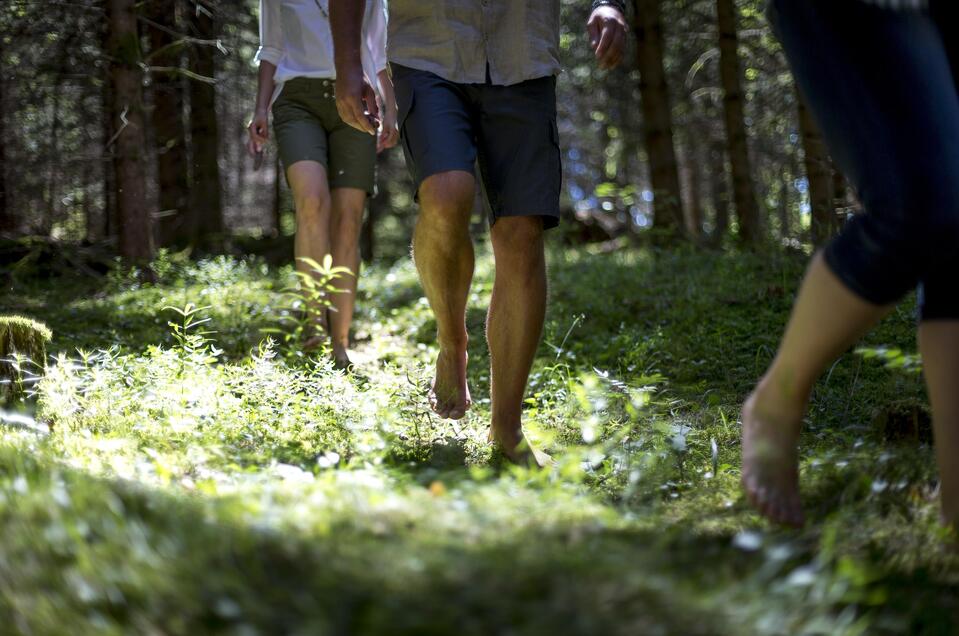 Forest bathing - a soul bath in the forest - Impression #1