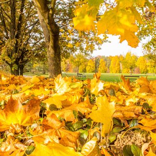 Herbstwandern | © Jansky