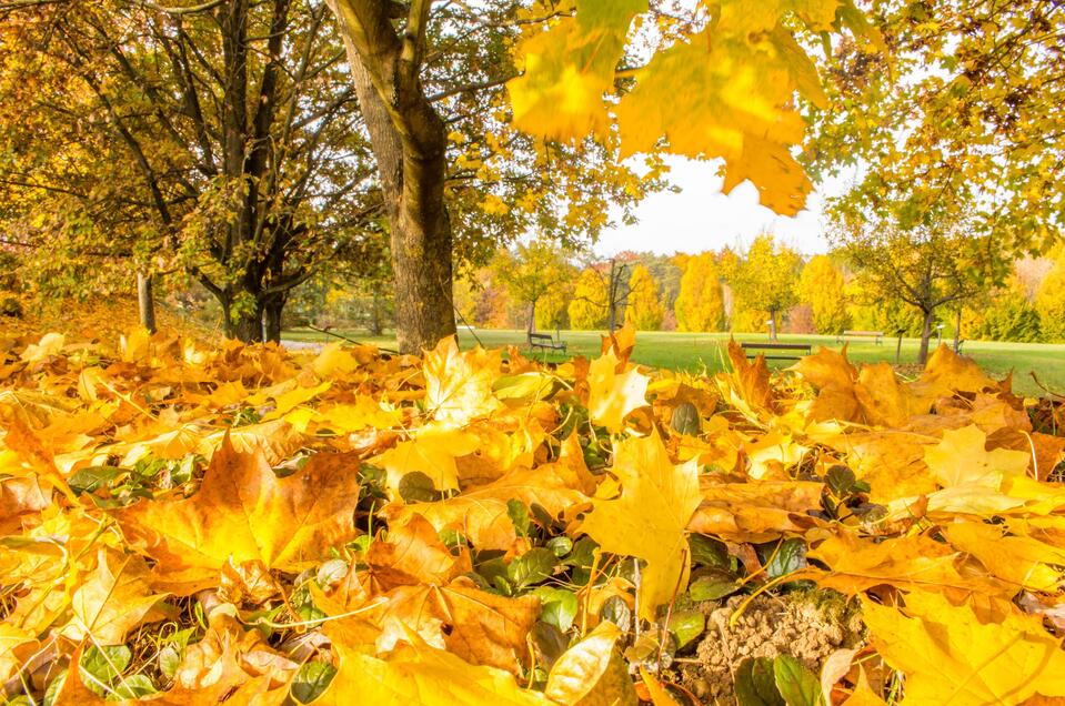 Herbstwandern | © Jansky