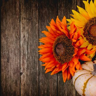 Herbst | © eric-tompkins-unsplash