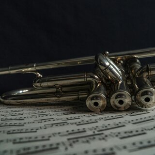 Musikinstrument | © eric-awuy-unsplash
