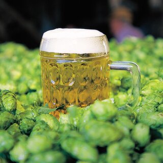 Biergenuss beim Fest in Semriach | © Steiermark Tourismus-Harry Schiffer