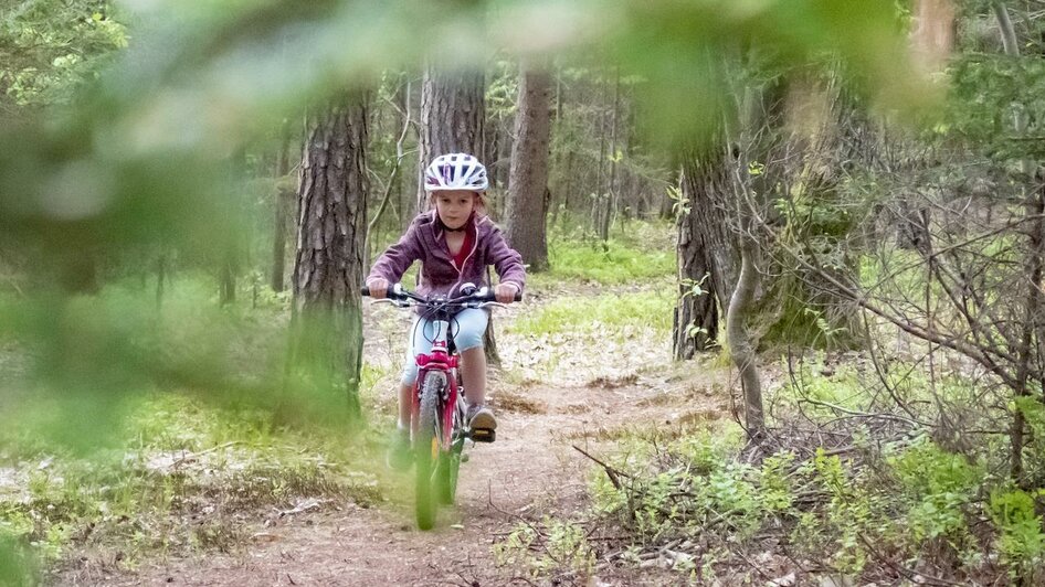 durch den Wald biken 3Eiben Kids Bike Park | 3Eiben Kids Bike Park | © 3Eiben Kids Bike Park durch den Wald biken 3Eiben Kids Bike Park | © 3Eiben Kids Bike Park