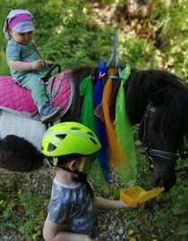 ABC-Hufis-Reiten1-Murtal-Steiermark | © ABC-Hufis | ABC-Hufis | © ABC-Hufis