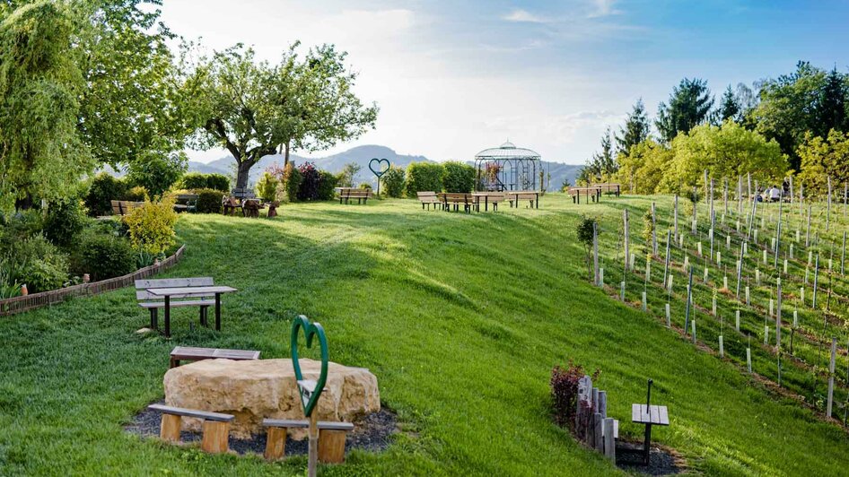 Weingut Tinnauer | © Weingut Tinnauer / Karin Bergmann