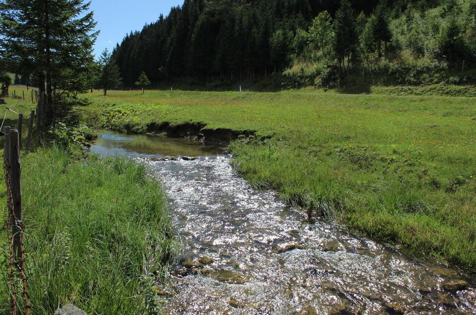 Fishing at the Mixnitzbach - Impression #1 | © Tourismusverband Oststeiermark