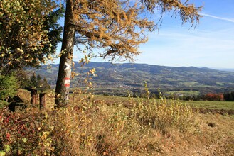 Jochbauerhöhe_Ausblick_Oststeiermark | © Hermann Auerbäck