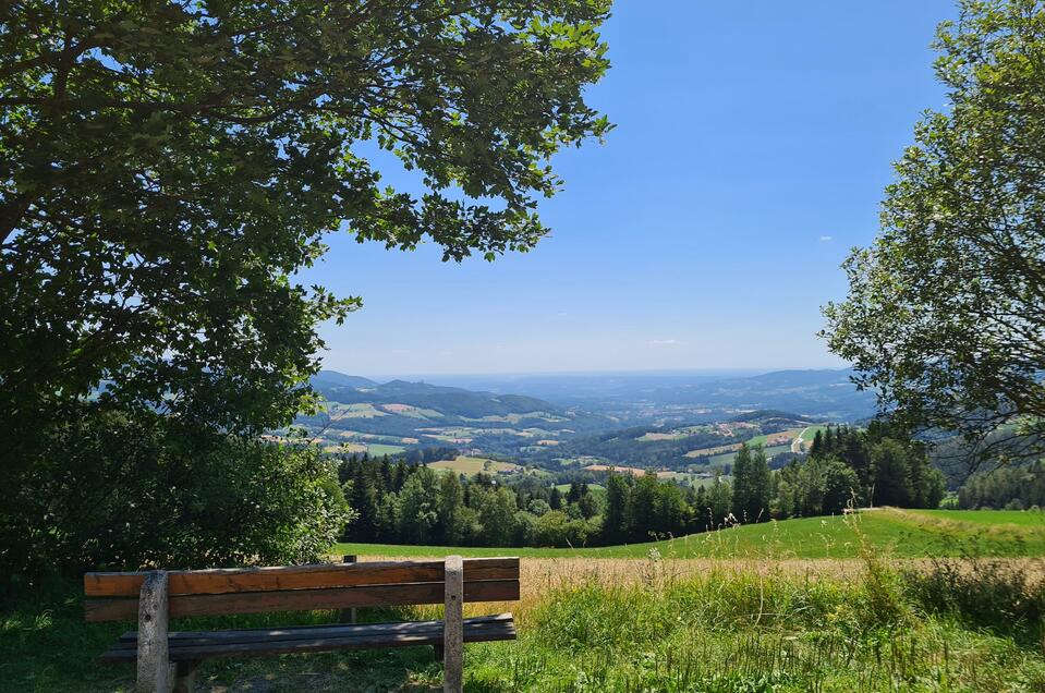 Aussichtspunkt Schloffereck - Impression #1