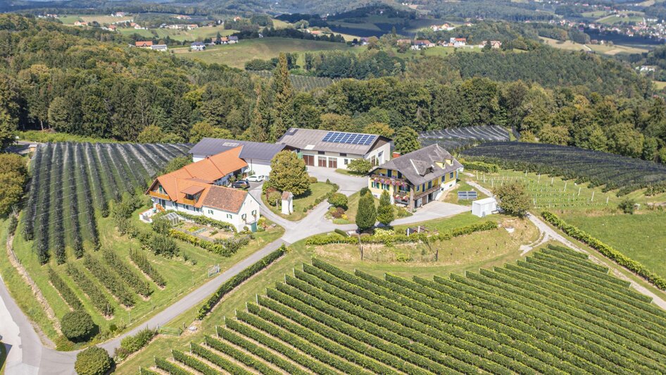 Perspektive von Oben | © Familie Brandl