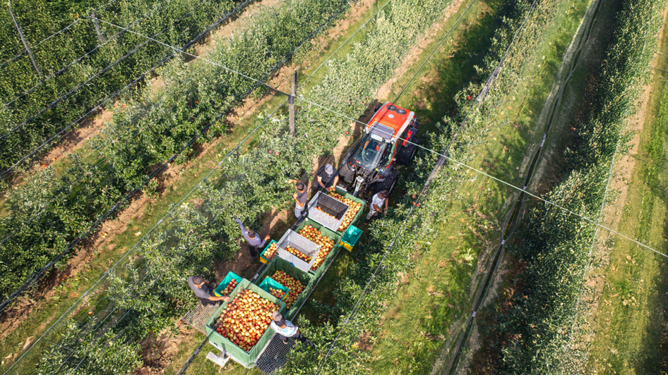 bei der Arbeit | © Familie Brandl
