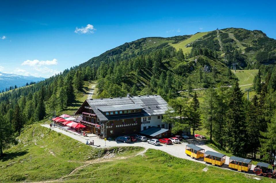 Mountain Inn Hollhaus  - Impression #1 | © Hollhaus