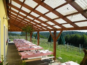 Buschenschank Christiner1
