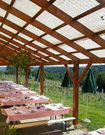 Buschenschank Christiner 1 | Buschenschank Christiner