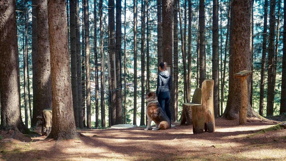 Chakrawanderweg-Pfad1-Murtal-Steiermark | © Fam. Offenbacher