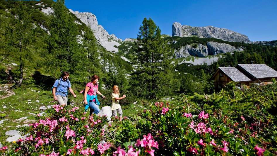 Tauplitzalm | © TVB Ausseerland Salzkammergut, Tom Lamm