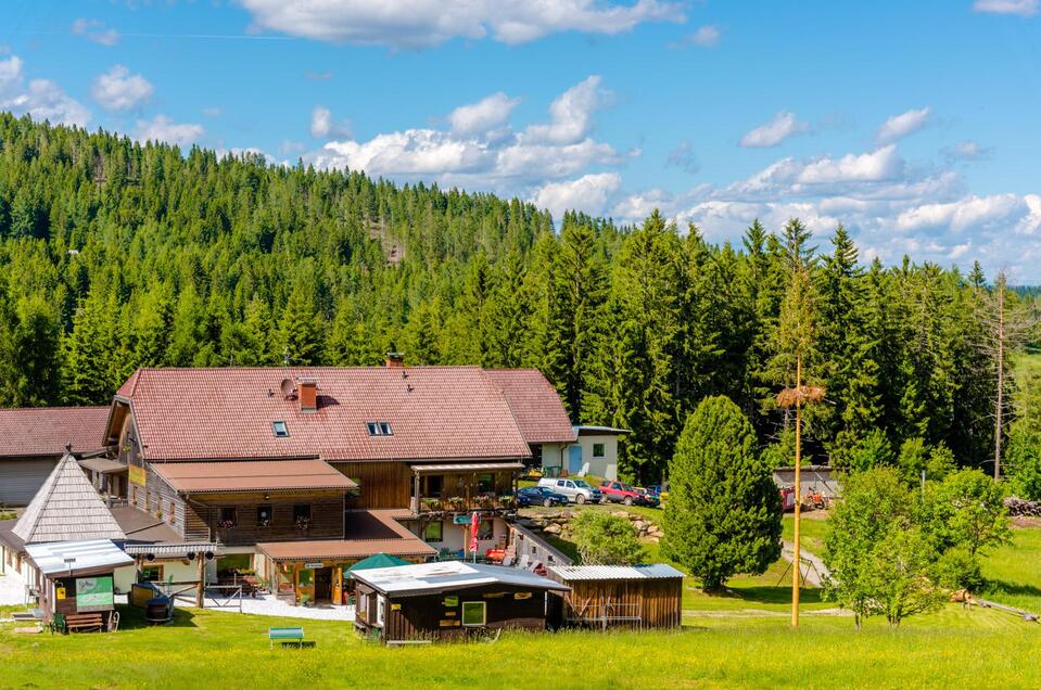 Gasthof Rieseralm - Impression #1 | © Gasthof Rieseralm
