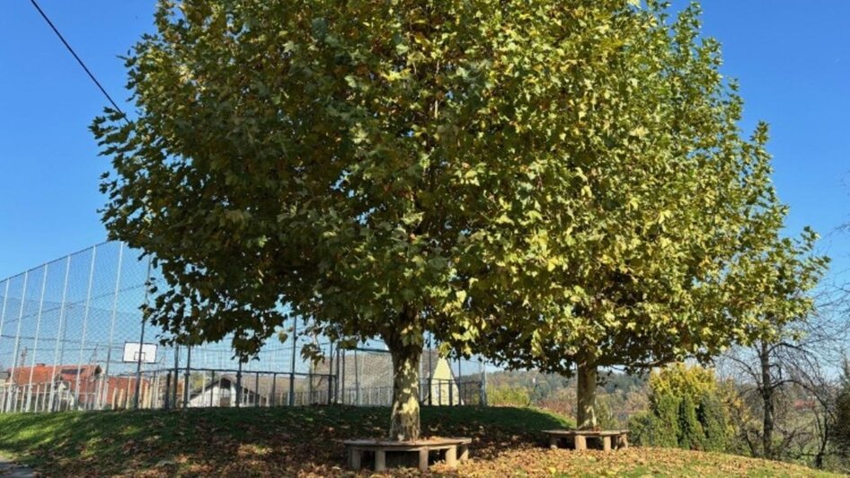 Generationenpark - Impression #2.4