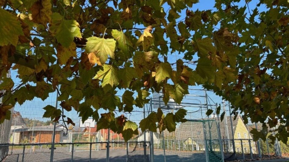 Generationenpark - Impression #2.5