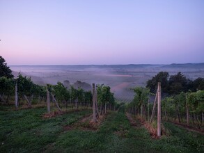 View from the Genusshof into the Raabtal valley | © Krenn-Kniely