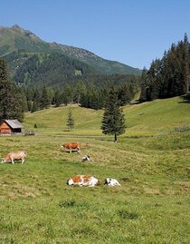 Hölleralm-Sommer-Hohentauern-Murtal-Steiermark | © Herbert Raffalt | Herbert Raffalt | © Herbert Raffalt