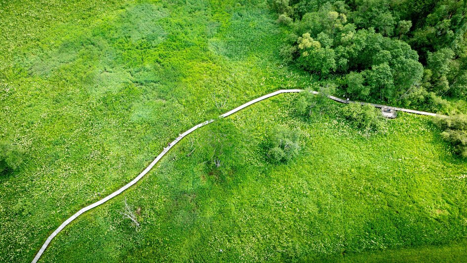 Naturjuwel Hörfeld-Moor | © Tourismusverband Murau