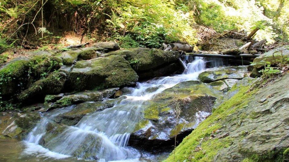 Naturpark Südsteiermark_Heiligengeistklamm | © Ulrike Elsneg | Heiligengeistklamm
