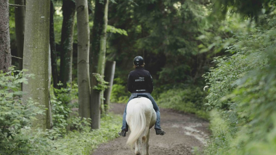 Islandpferdehof Piet Hoyos | © Piet Hoyos-Fiona Tatschl Islandpferdehof Piet Hoyos | © Piet Hoyos-Fiona Tatschl
