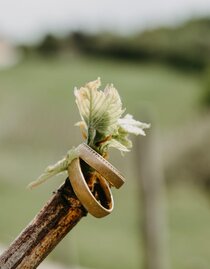 Ringe | © Juwelier Koller & Koller | © Juwelier Koller & Koller