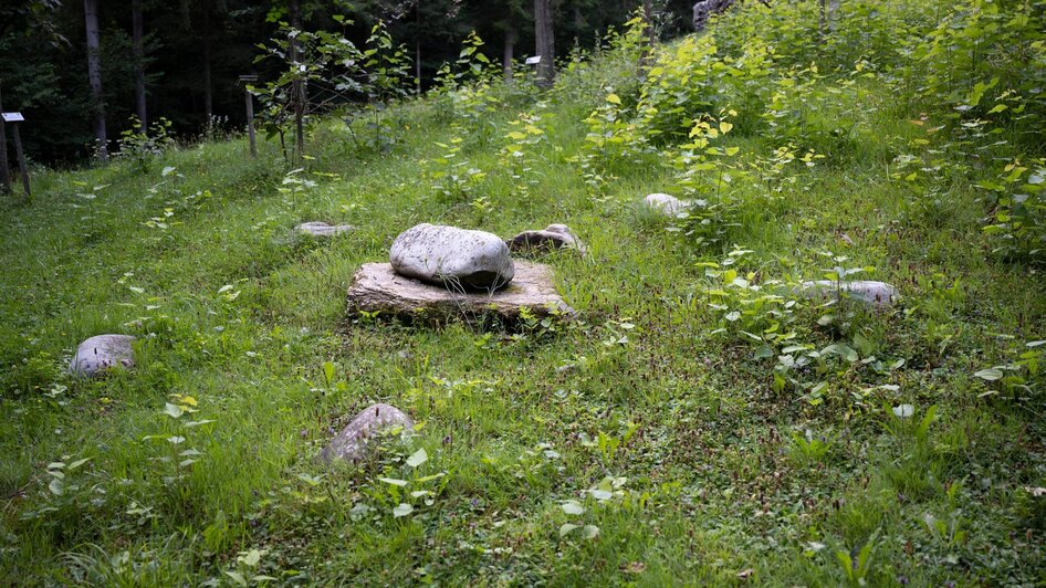 Mitten in der Natur | Dominik Feibel | © Schilcherland Steiermark Mitten in der Natur | © Schilcherland Steiermark