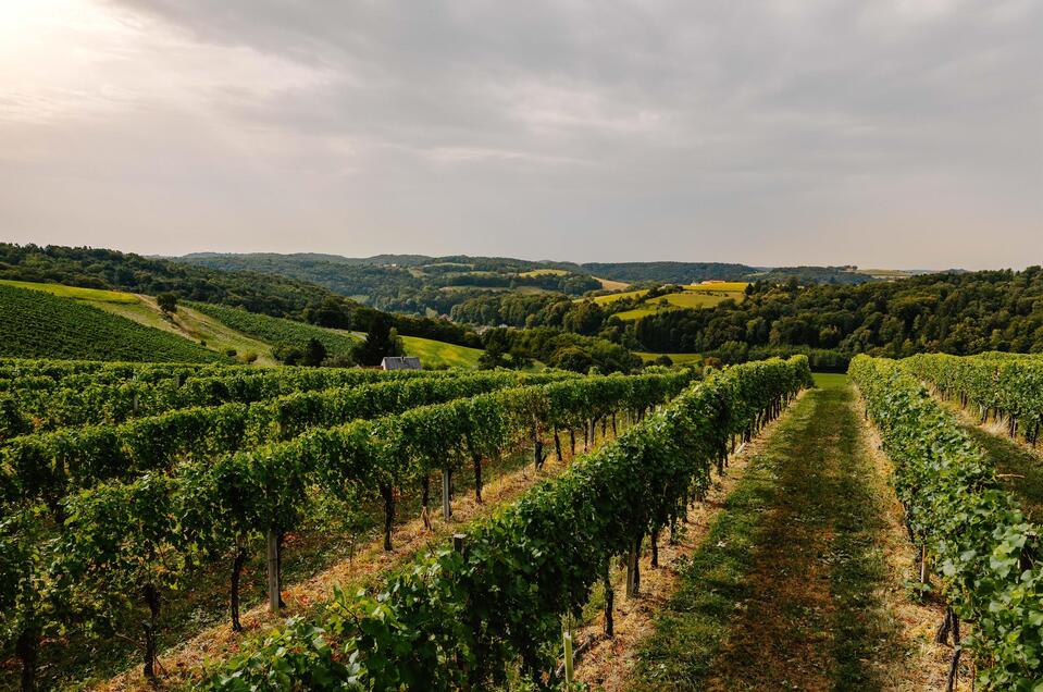 Buschenschank - Winery - Bed and breakfast Kleinschuster - Impression #1 | © Weingut Kleinschuster
