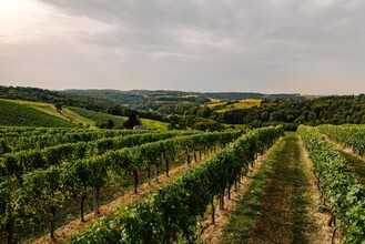 Perfekte Lage | © Weingut Kleinschuster