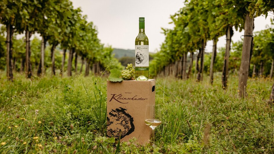 Wein im Weingarten | © Weingut Kleinschuster