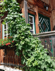 Knödl-Alm, Bad Mitterndorf | © Knödl-Alm | Knödl-Alm | © Knödl-Alm