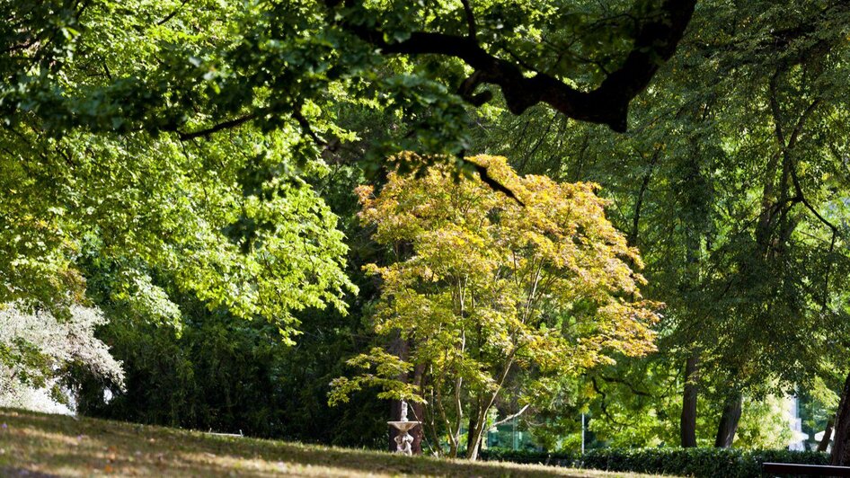 Kurpark | © Thermen- & Vulkanland