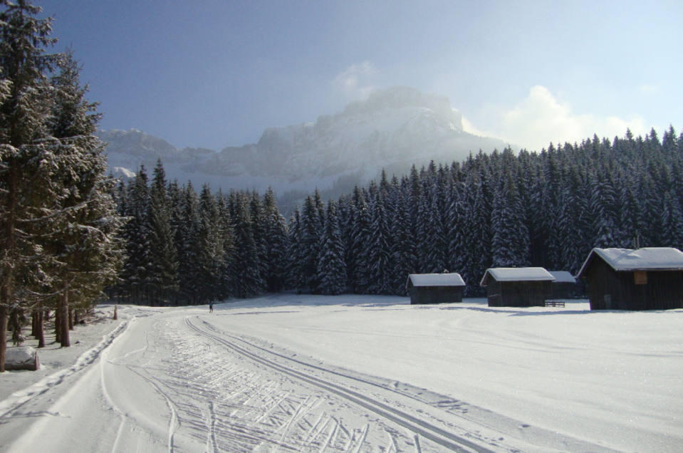 Langlauf-Loipen Altaussee - Loser - Impression #1